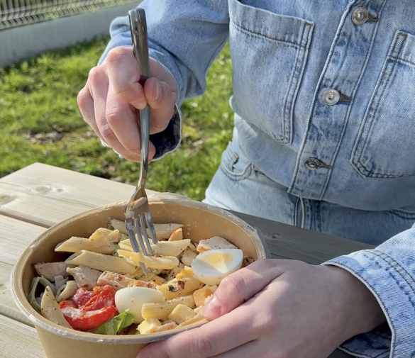 metier-recherches-develloppement-soleane