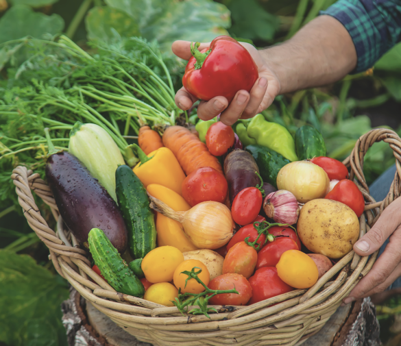 selection-produits-soleane