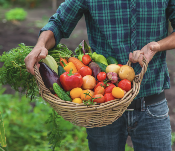 engagement-local-soleane