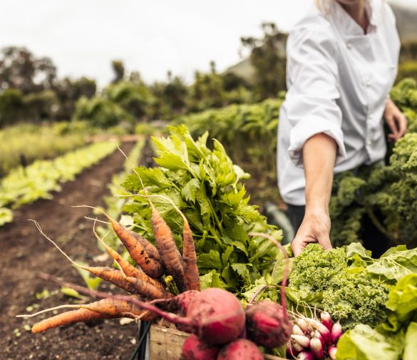 fournisseur-produit-frais-restauration-environnement-soleane